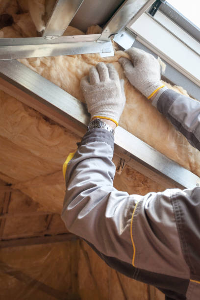 Eco-Friendly or Green Insulation Solutions in Monroe North, WA